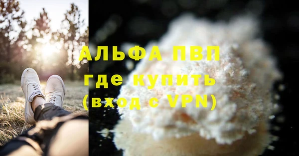 сатива Балахна