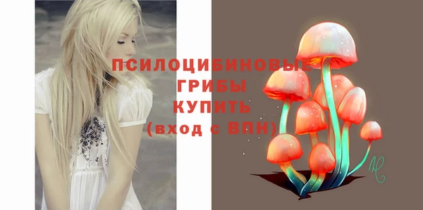 сатива Балахна