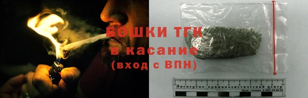 сатива Балахна