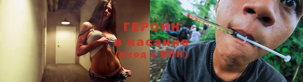 сатива Балахна