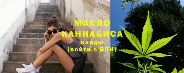 сатива Балахна