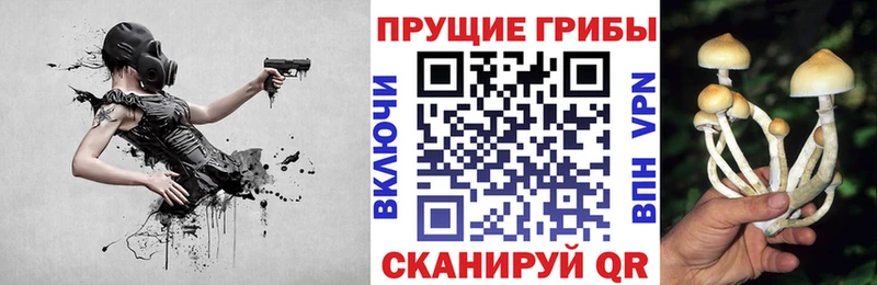 Купить закладки  Мезень  Галлюциногенные грибы мицелий 