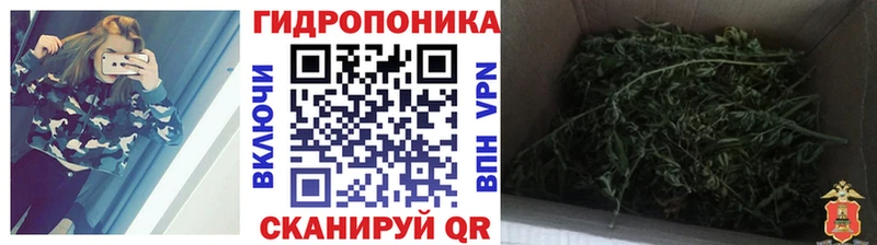 Купить  Мезень  Каннабис тримм 